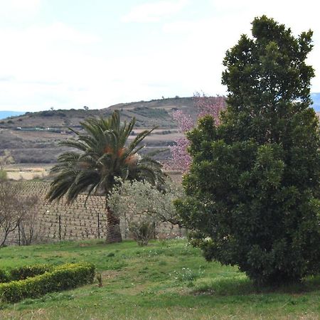 Casa Pichon Etxea Villa La puebla de Labarca ภายนอก รูปภาพ