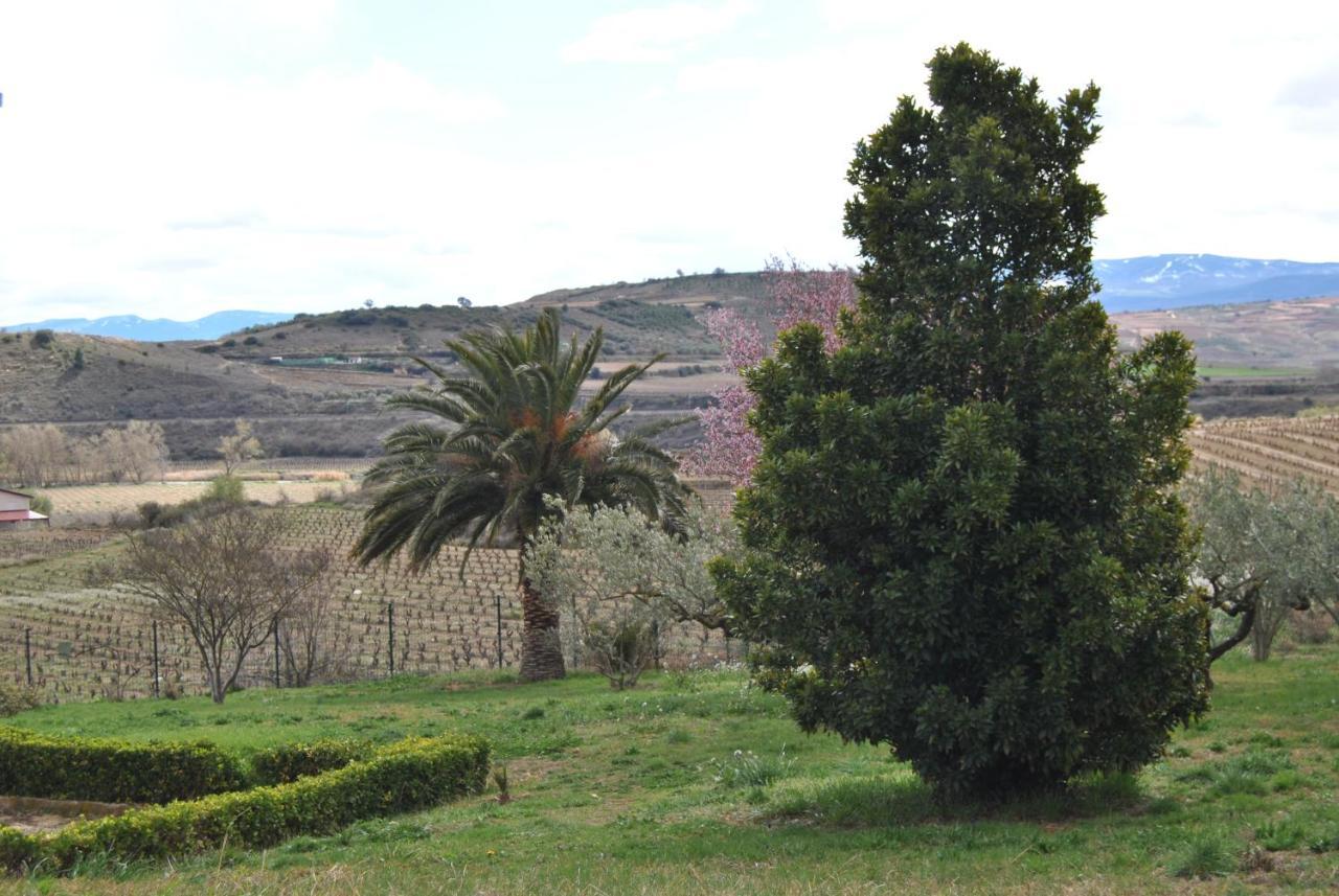 Casa Pichon Etxea Villa La puebla de Labarca ภายนอก รูปภาพ
