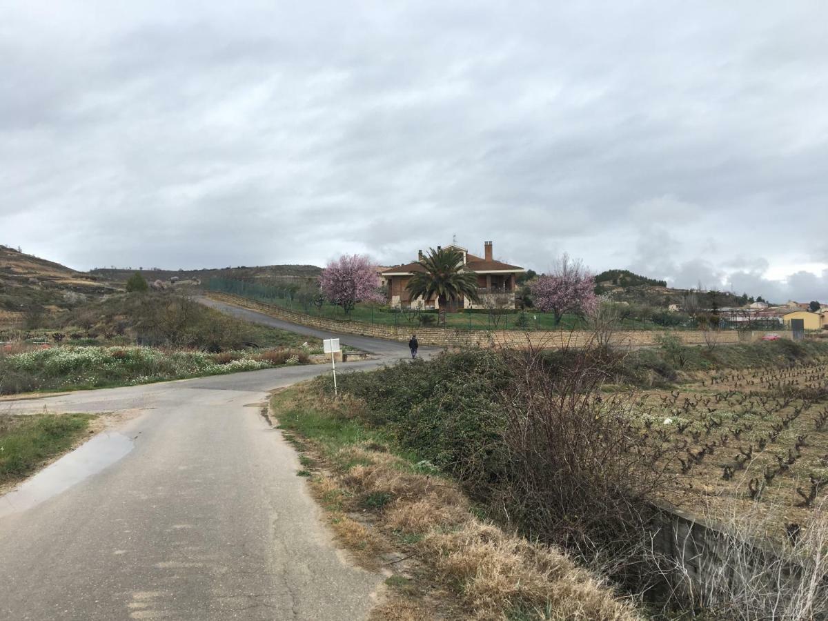 Casa Pichon Etxea Villa La puebla de Labarca ภายนอก รูปภาพ